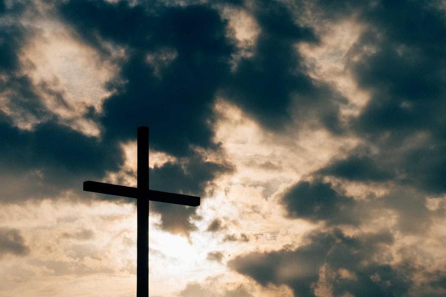 Proyek Sains Siswa: Taman Hidroponik Sekolah